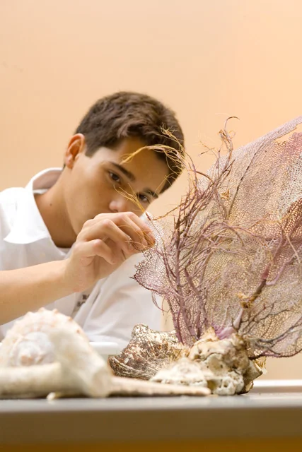 Ross Upper School student examining a piece of Alcyonacea or ‘sea fan’ coral.