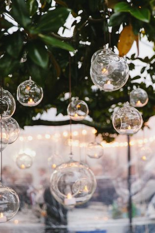 tree-lights.jpg
