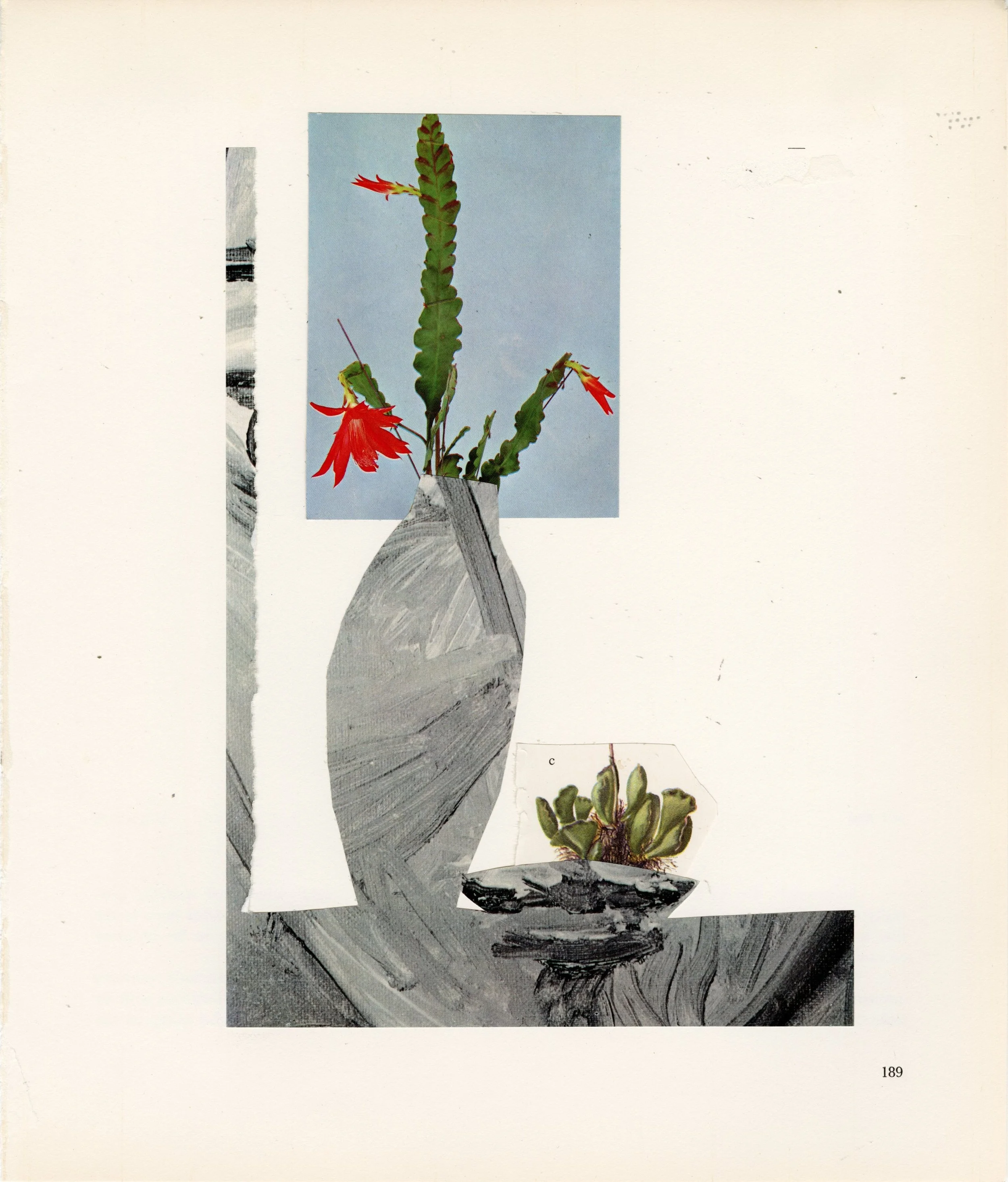 Picasso Arrangement 24.jpg