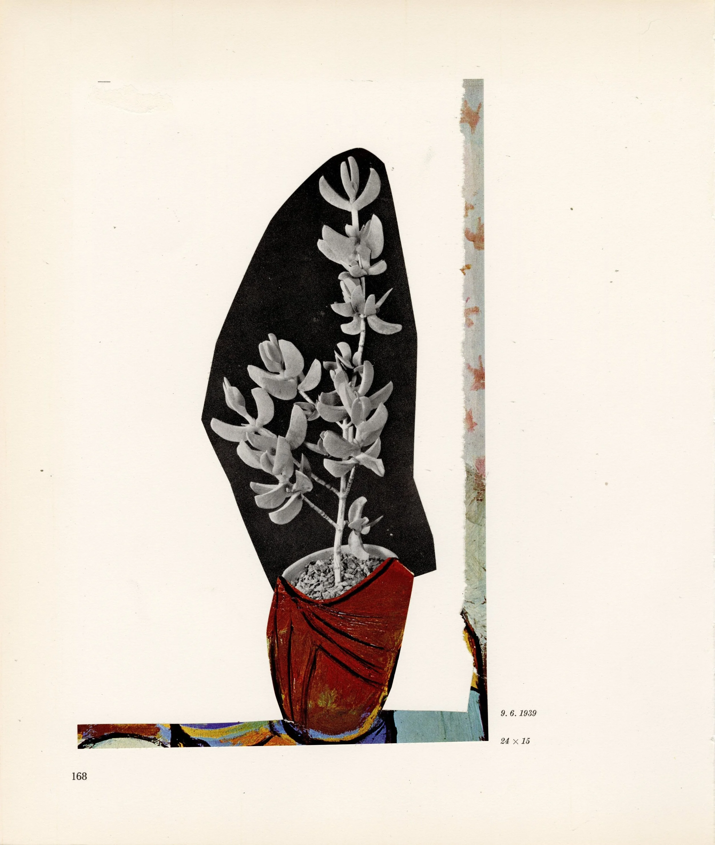Picasso Arrangement 31.jpg