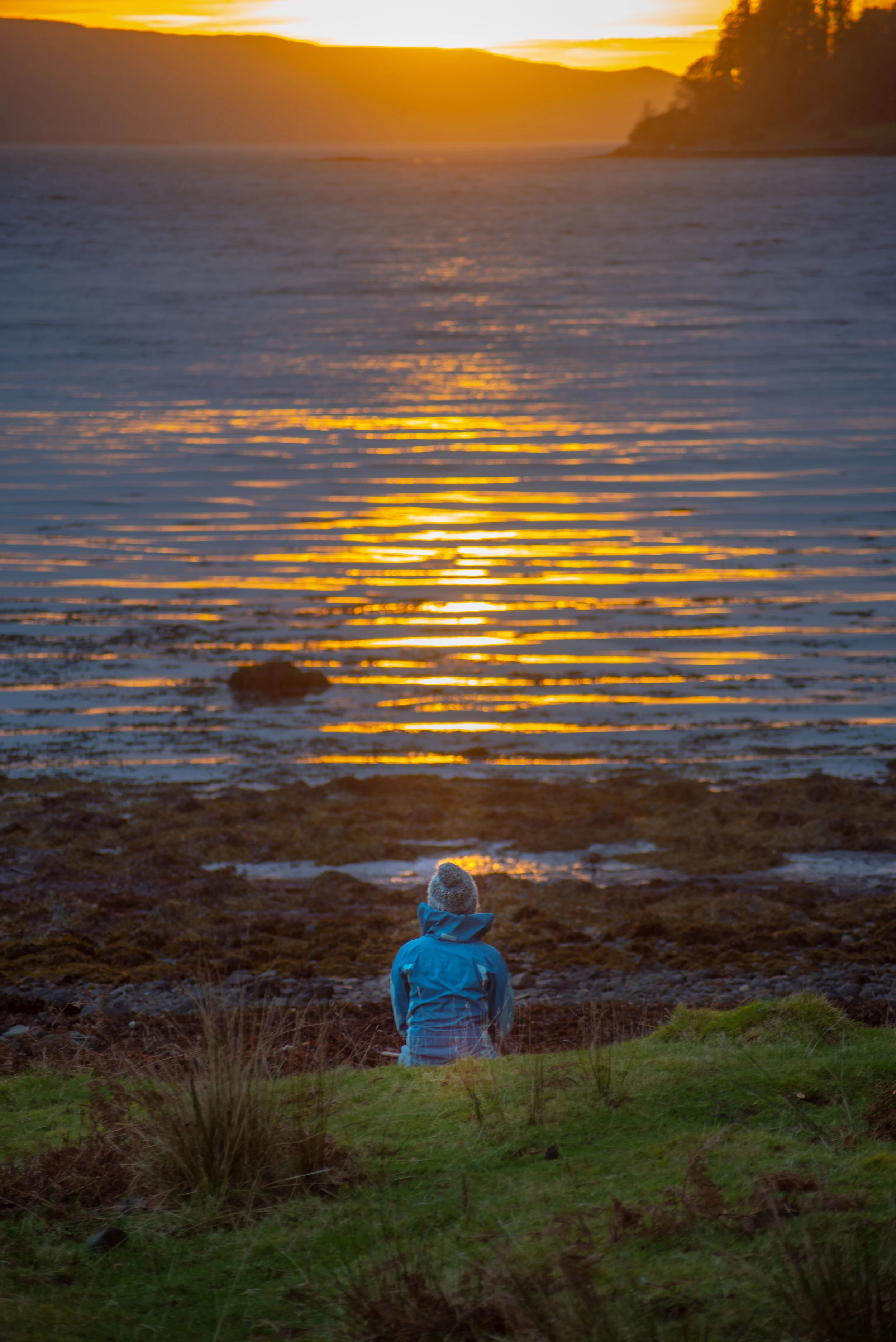 Foraging For Adventure Footprint Free Adventure