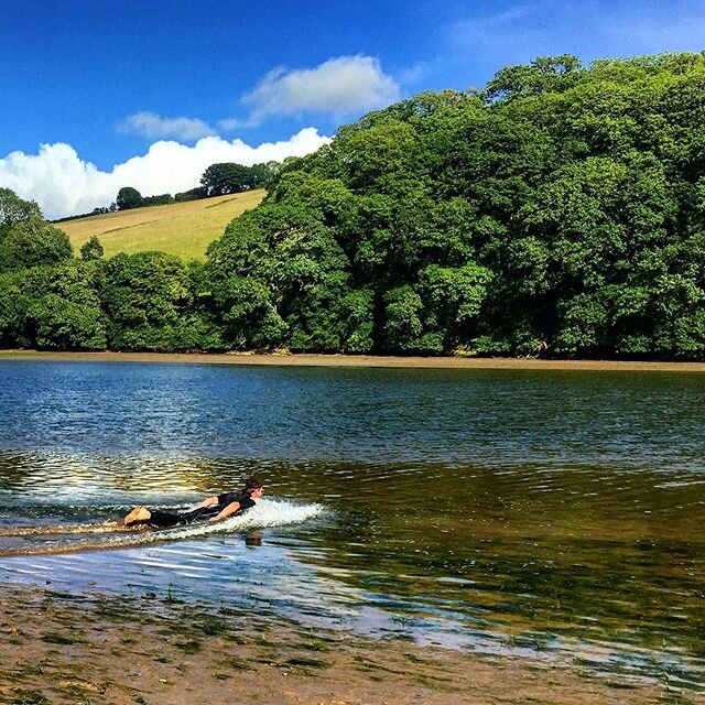 Starting a 6km estuary swim in style #wildswim #penguin #devonlife #swimming #openwaterswim