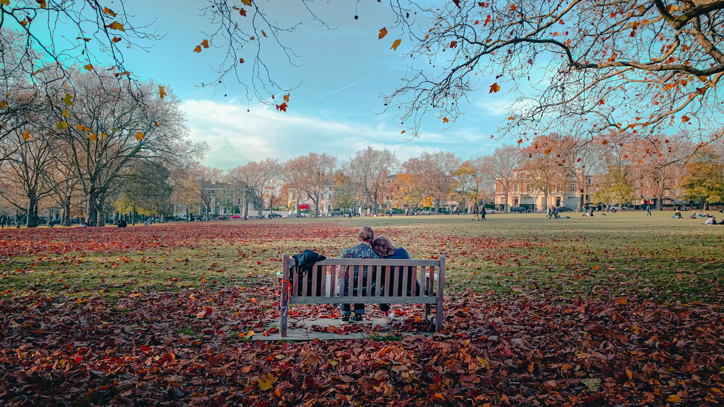 Autumn Love
