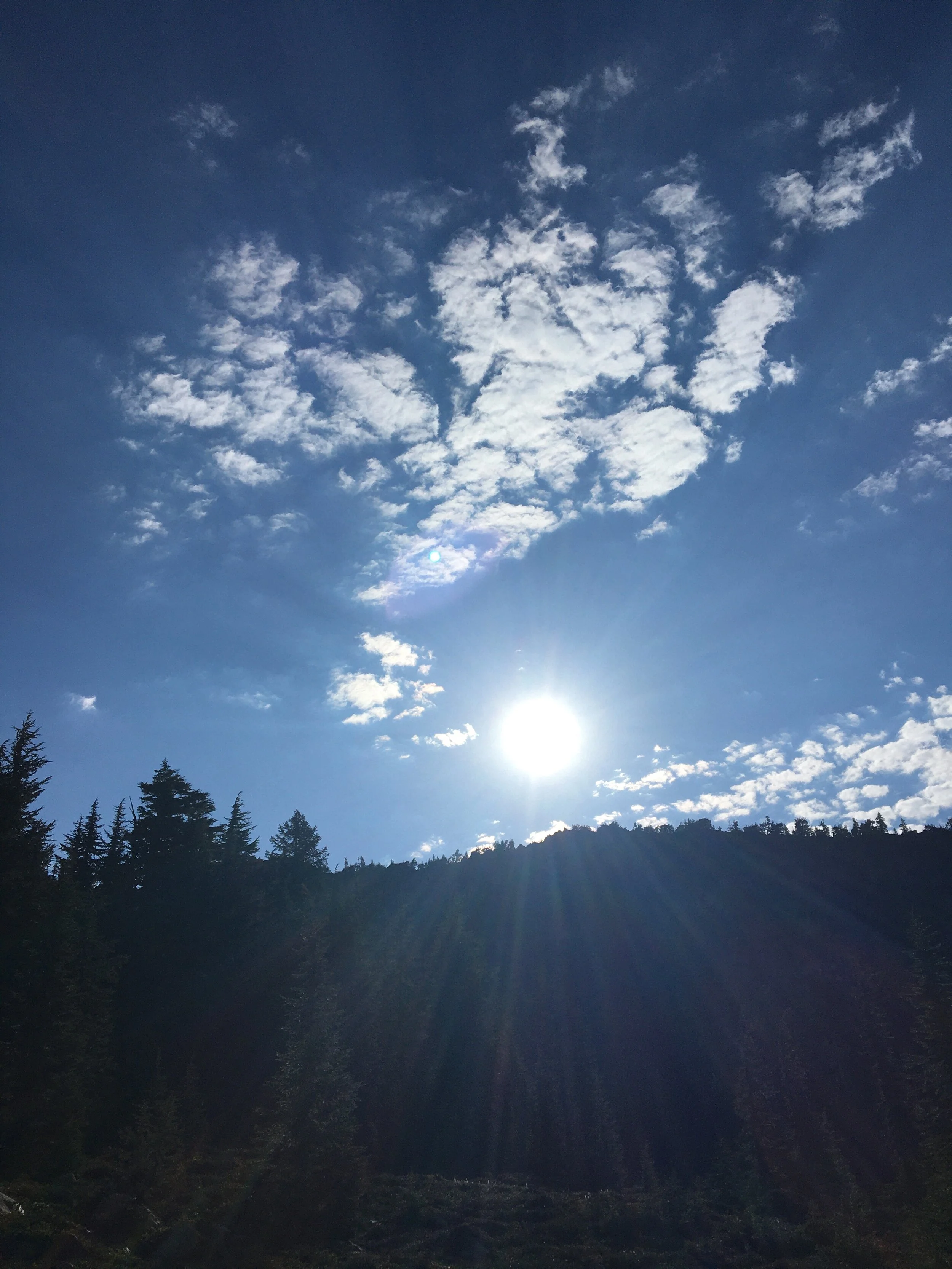 IMG_9514.jpeg