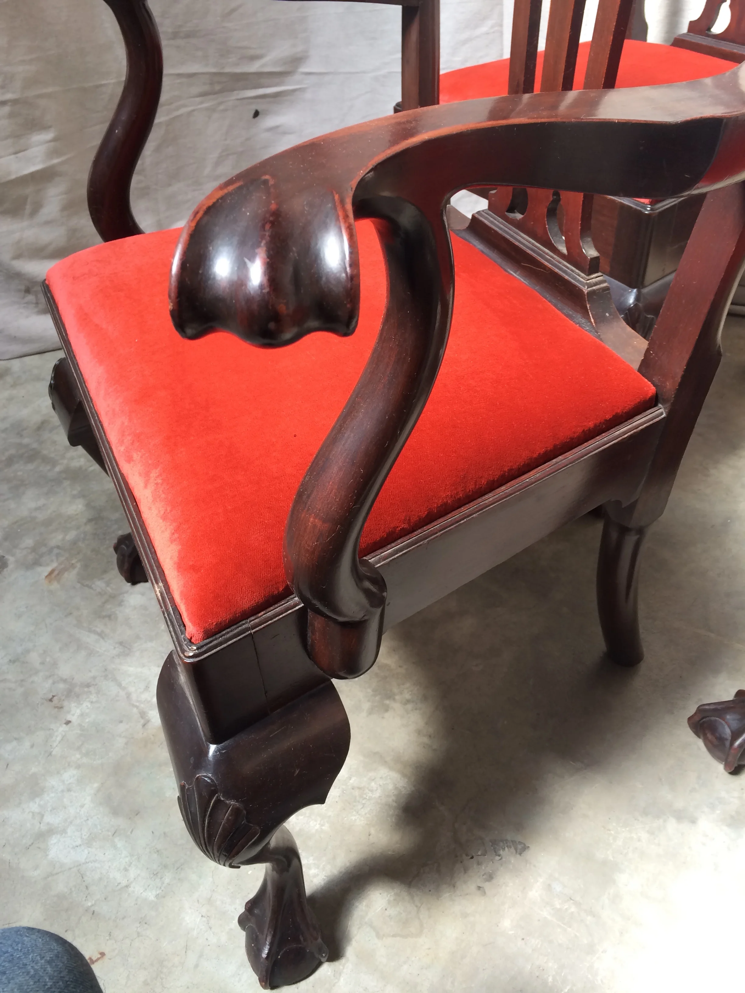 Chippendale 6 chairs 4.JPG