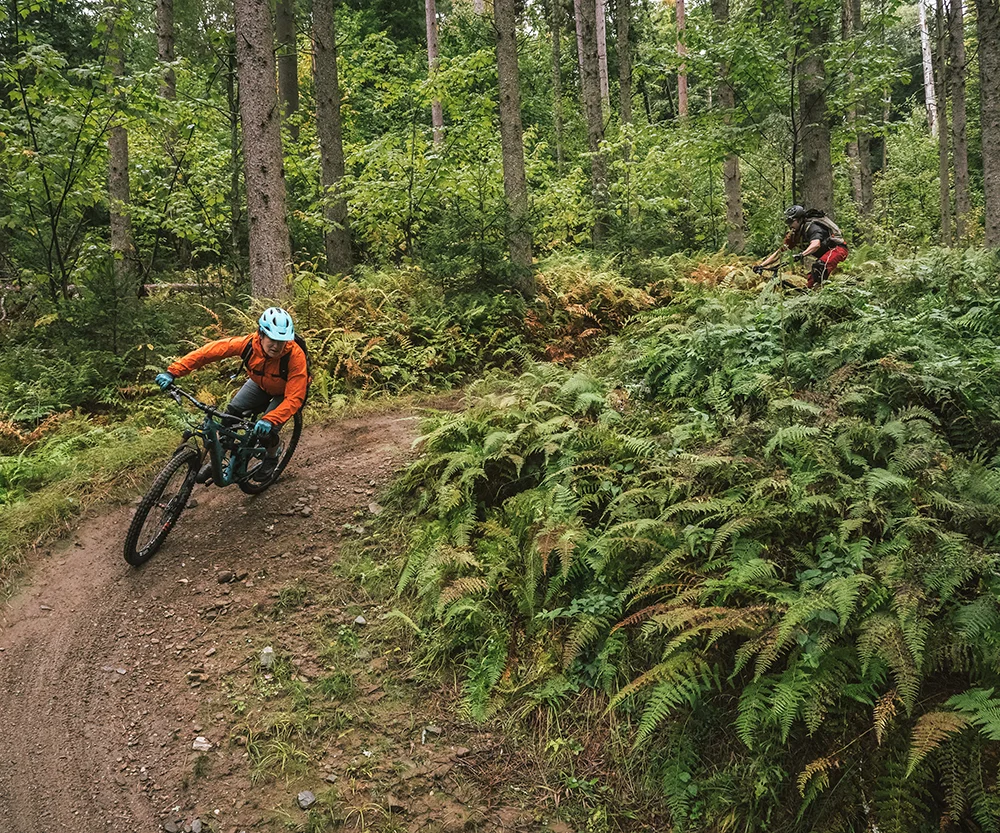 bike3.jpg
