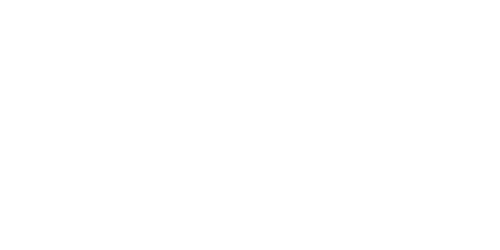 bossini.png