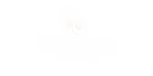 volevatch.png