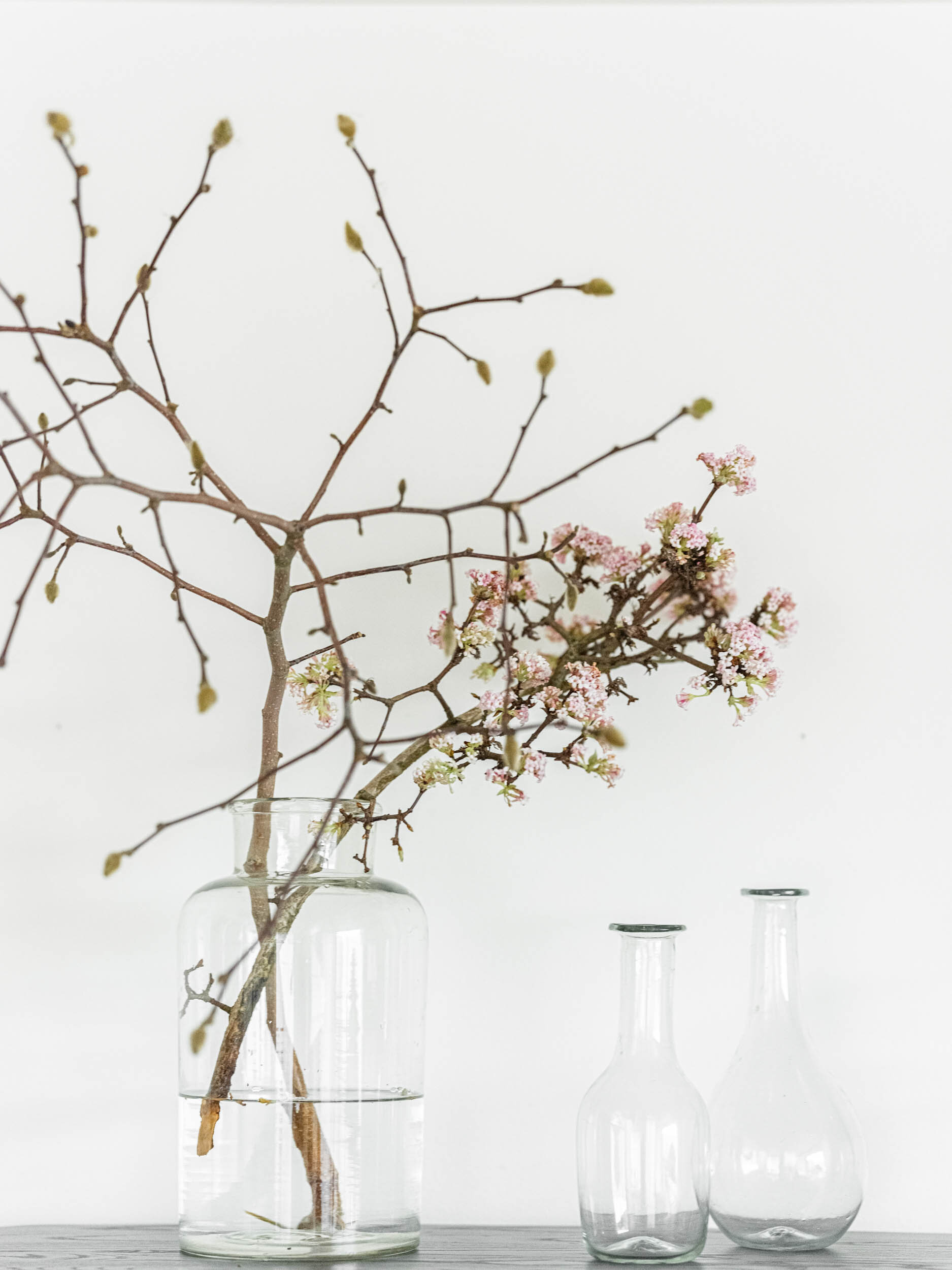 dried branches in clear vases