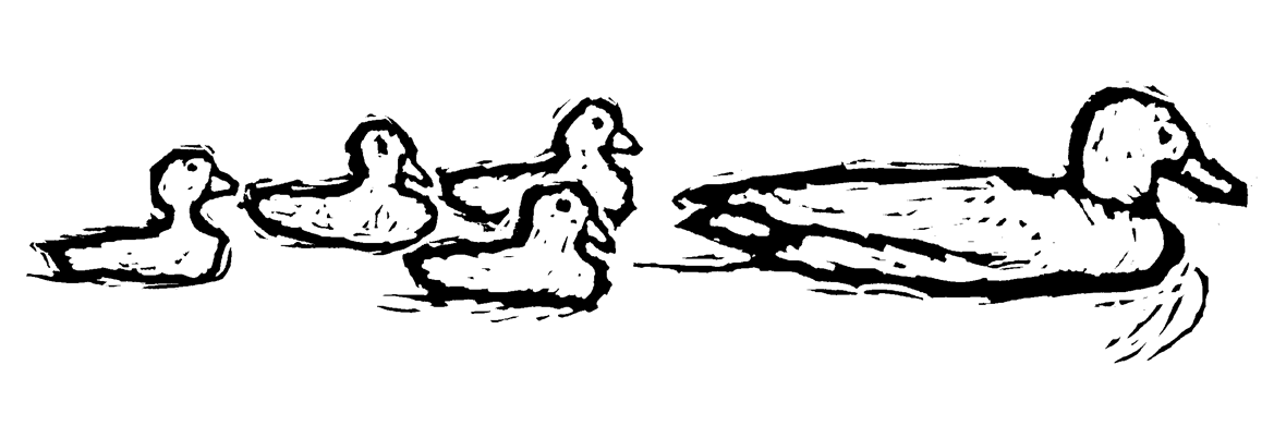 Momma_Ducklings.png