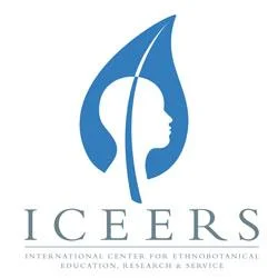 ICEERS.jpg