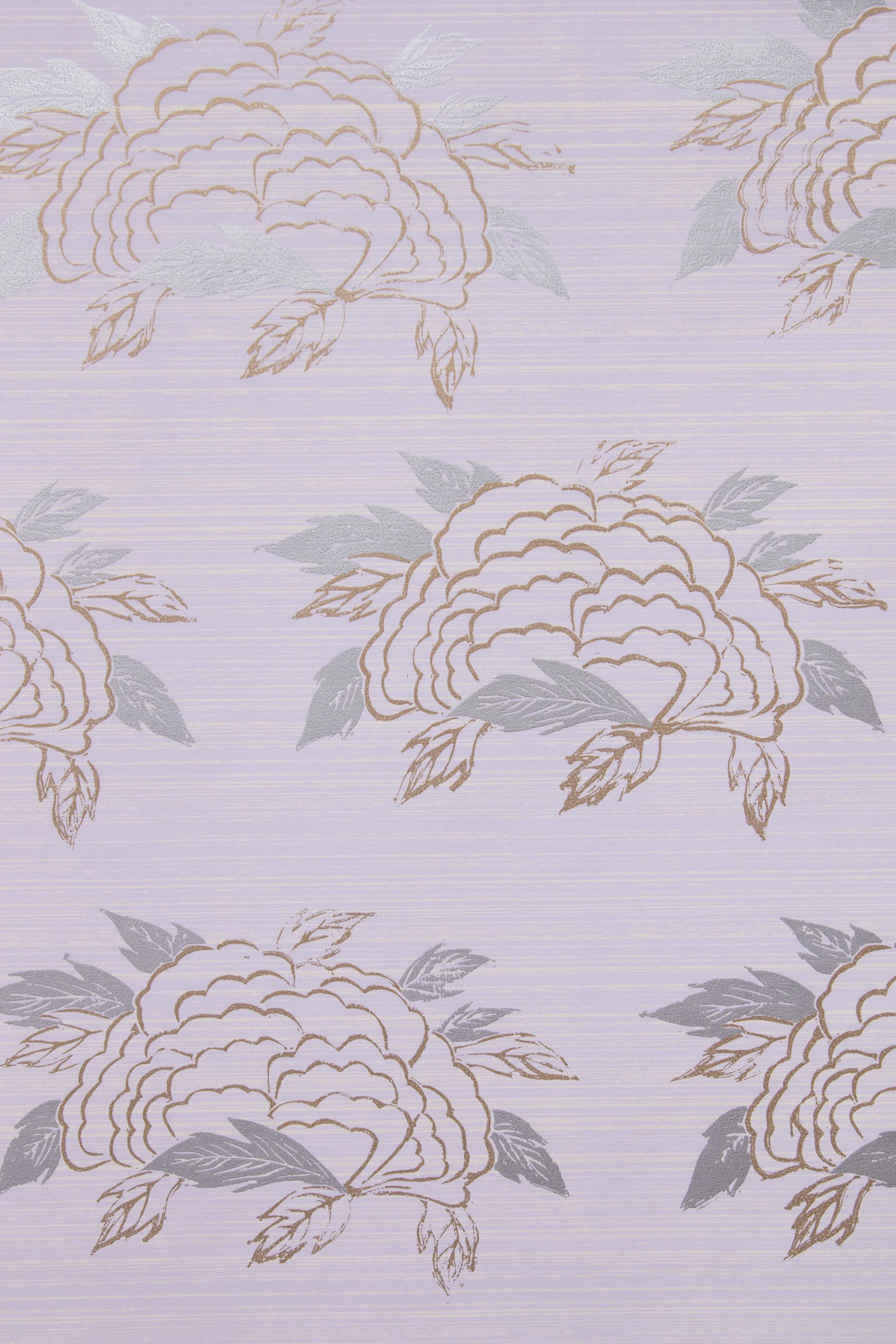 Chrysanthemum in Lavender, SL130-05