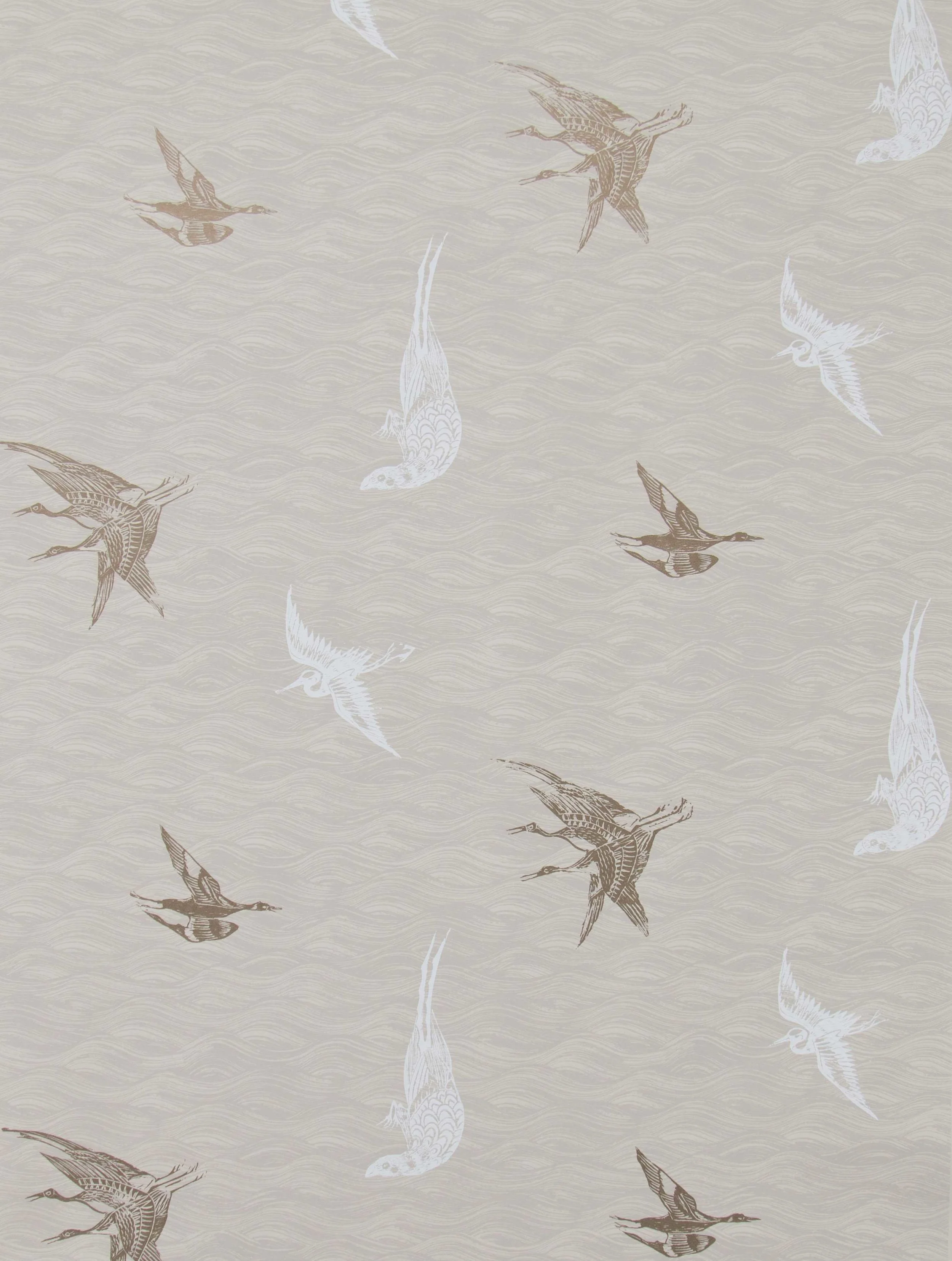 Birds in Dune, SL120-02