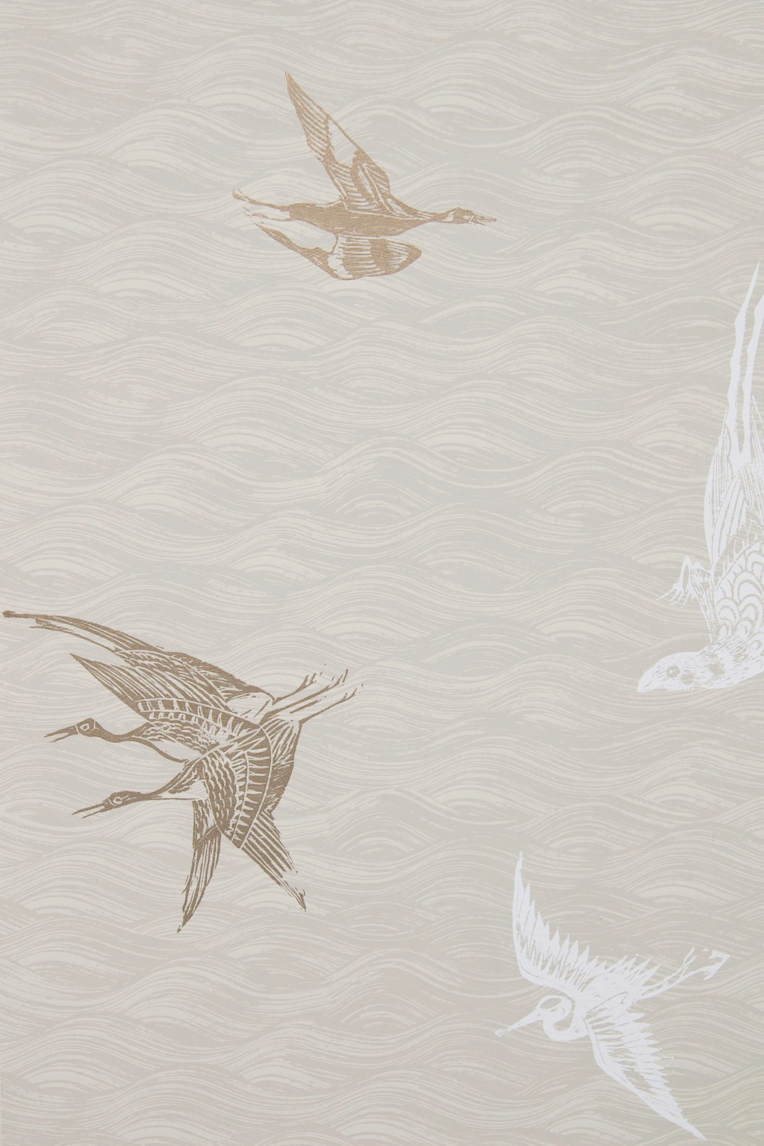 Birds in Dune, SL120-02