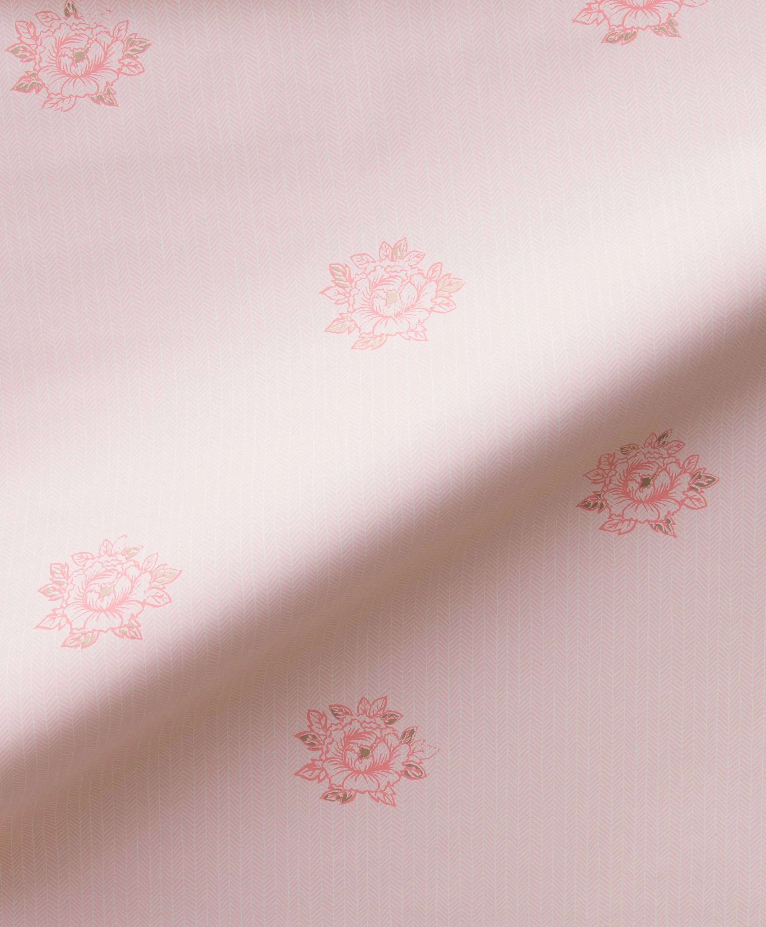 Peonies in Blush, SL180-04