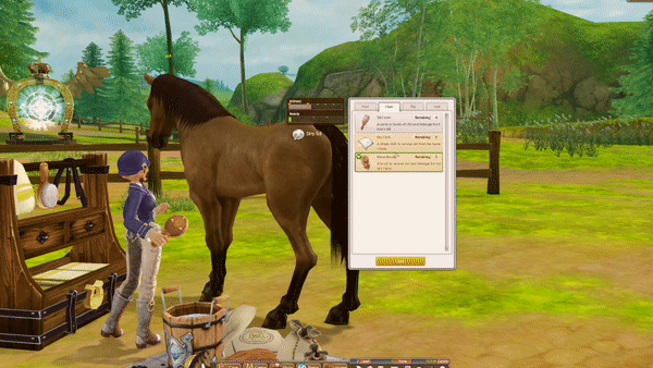 Horse Care