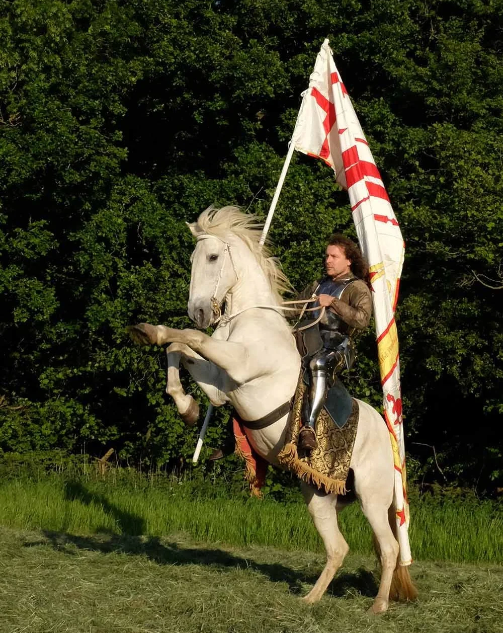 Kingsley and Warlord, with costume and banner