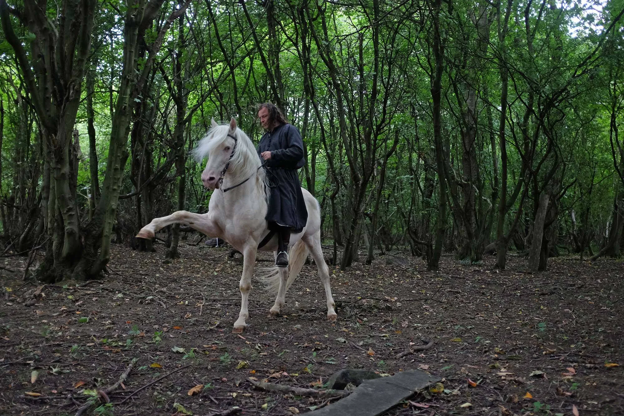 Kingsley and Ghost