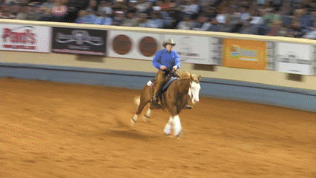 The Sliding Stop as performed at a Reining competition ( Source )