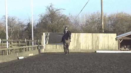 “Sideways canter” or half-pass in dressage. ( Source )
