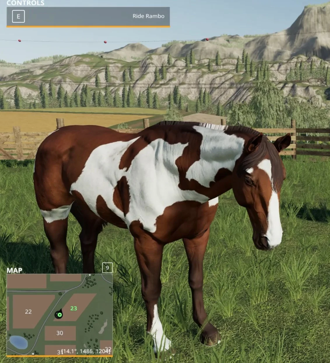 Your animals get a random name, but you can change it later in the menu.