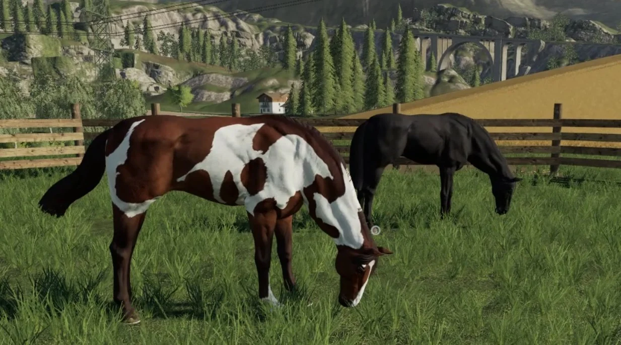 The neck has this weird bulge in it when the horses graze as a result of the slightly strange model and rig.