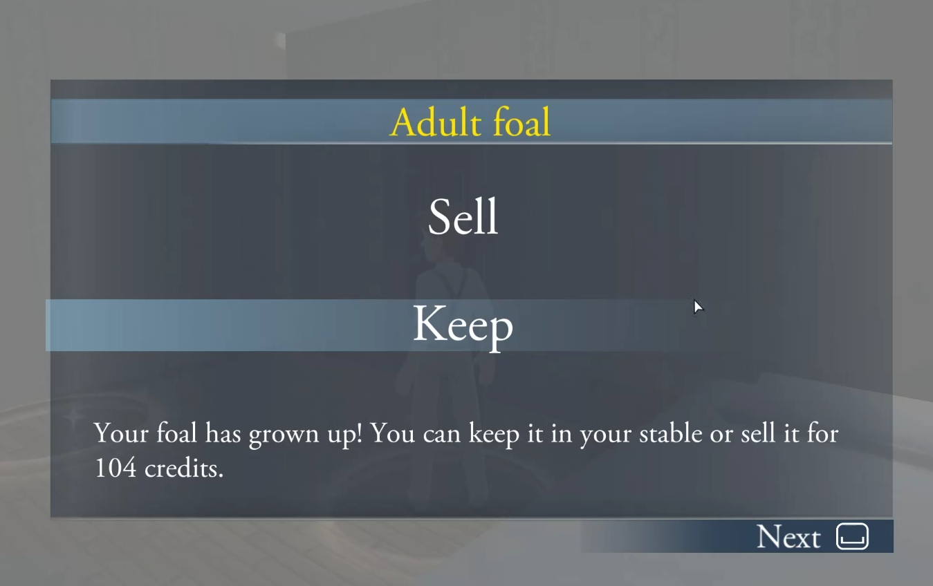 After waiting three days, your grown up horse appears in the paddock. There are no foals visible in this game.
