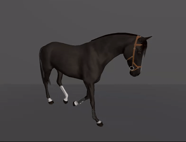 A variety of bridles, saddles and other equipment will be available in the game.