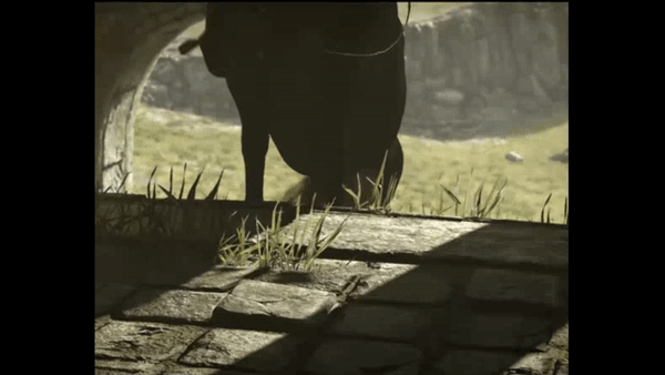 How to make a horse girl cry in less than three seconds…