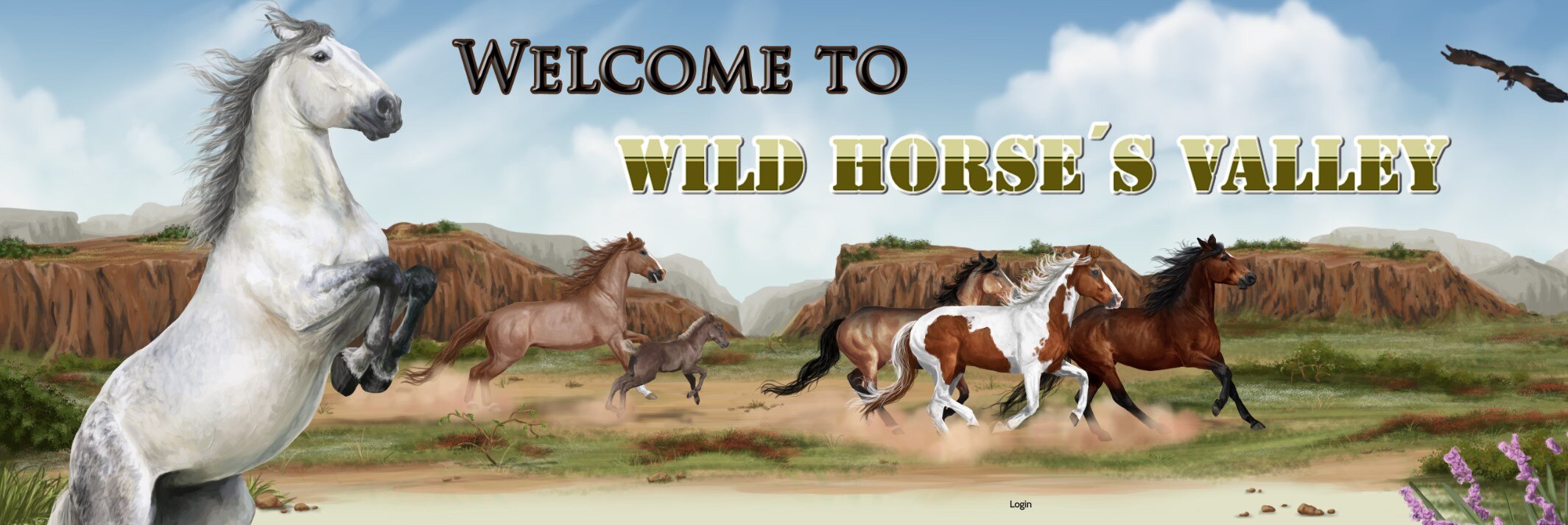 Wild Horse`s Valley © – Freedom for horses