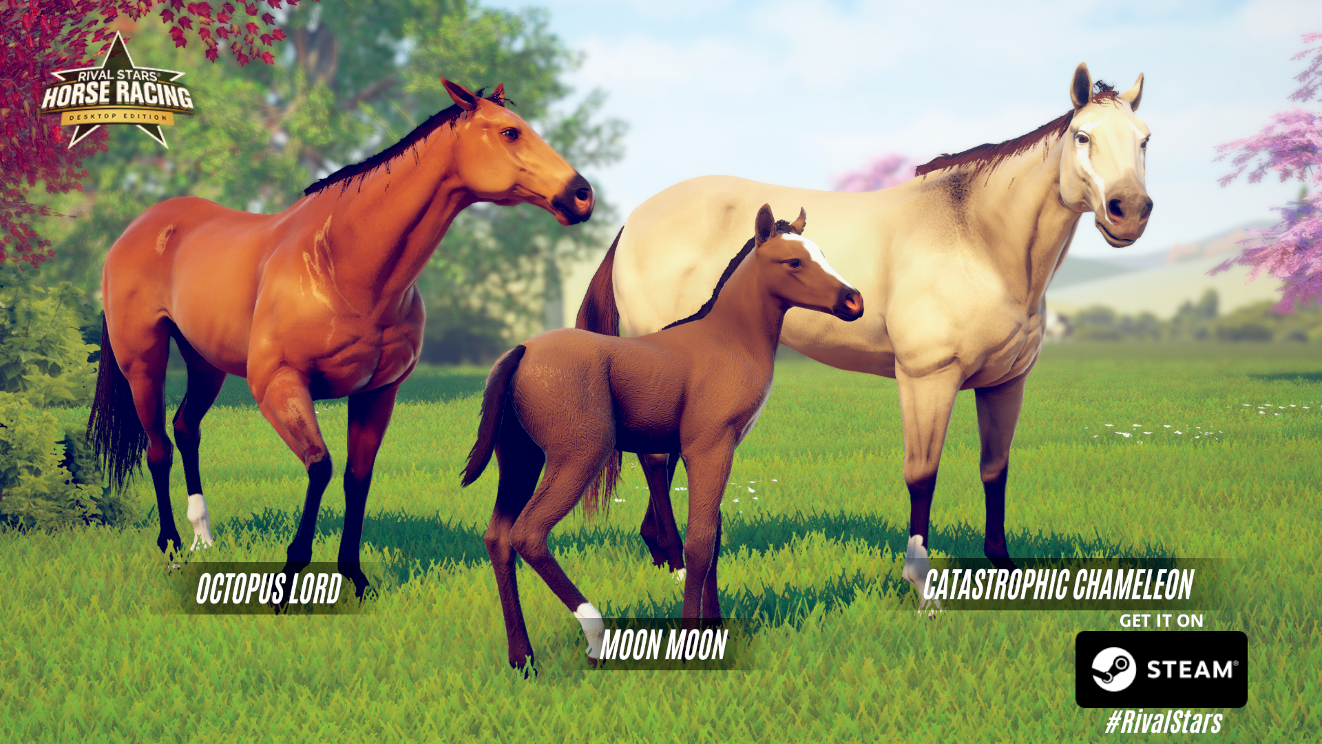 Horse Horse