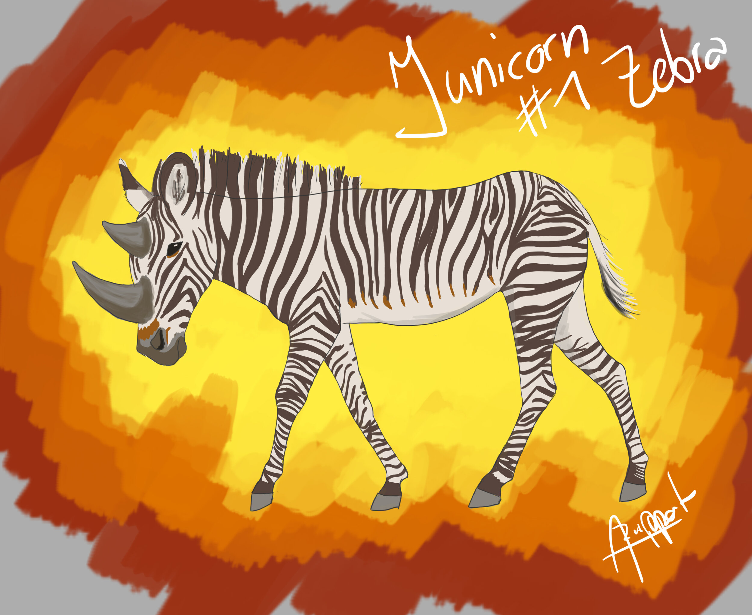 1-zebra.jpg