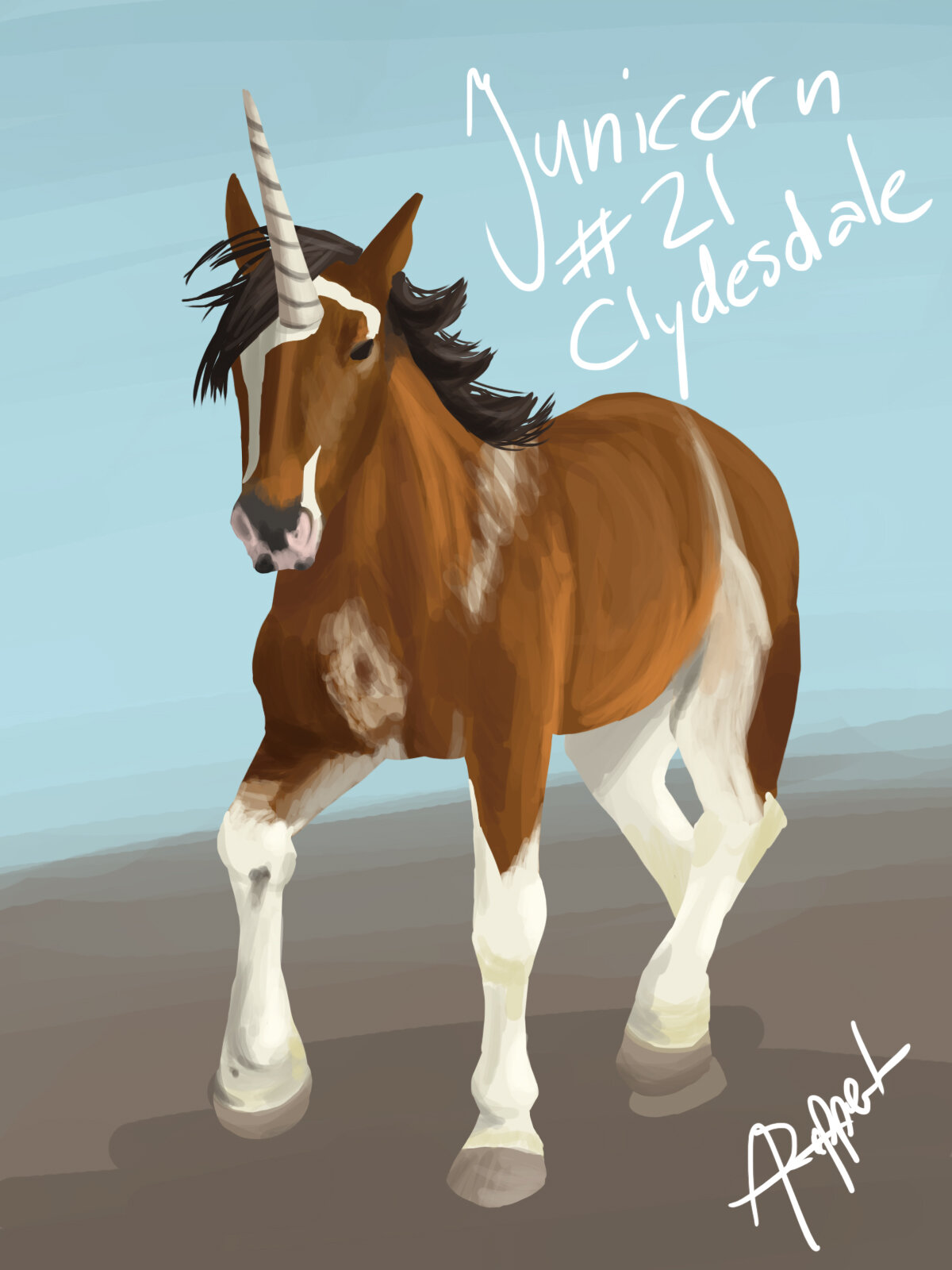 21-clydesdale.jpg