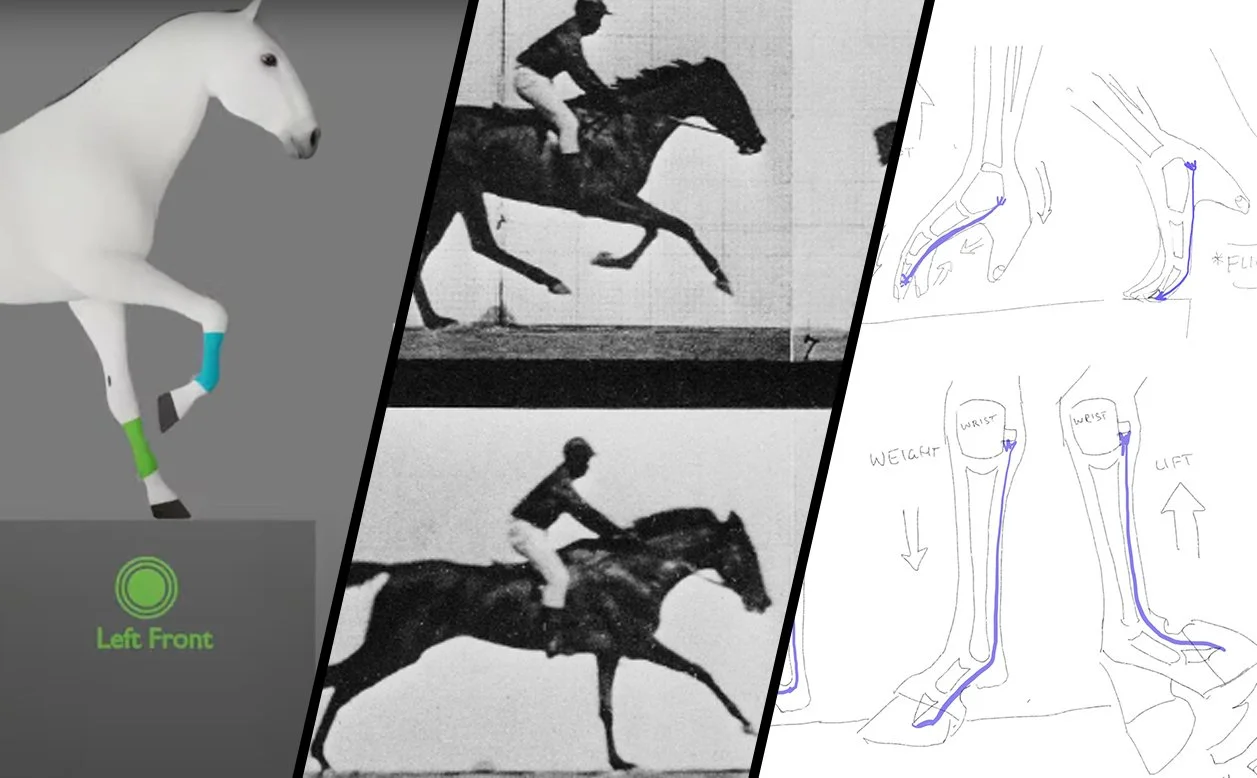 Horse Animation: Guides, References and Resources