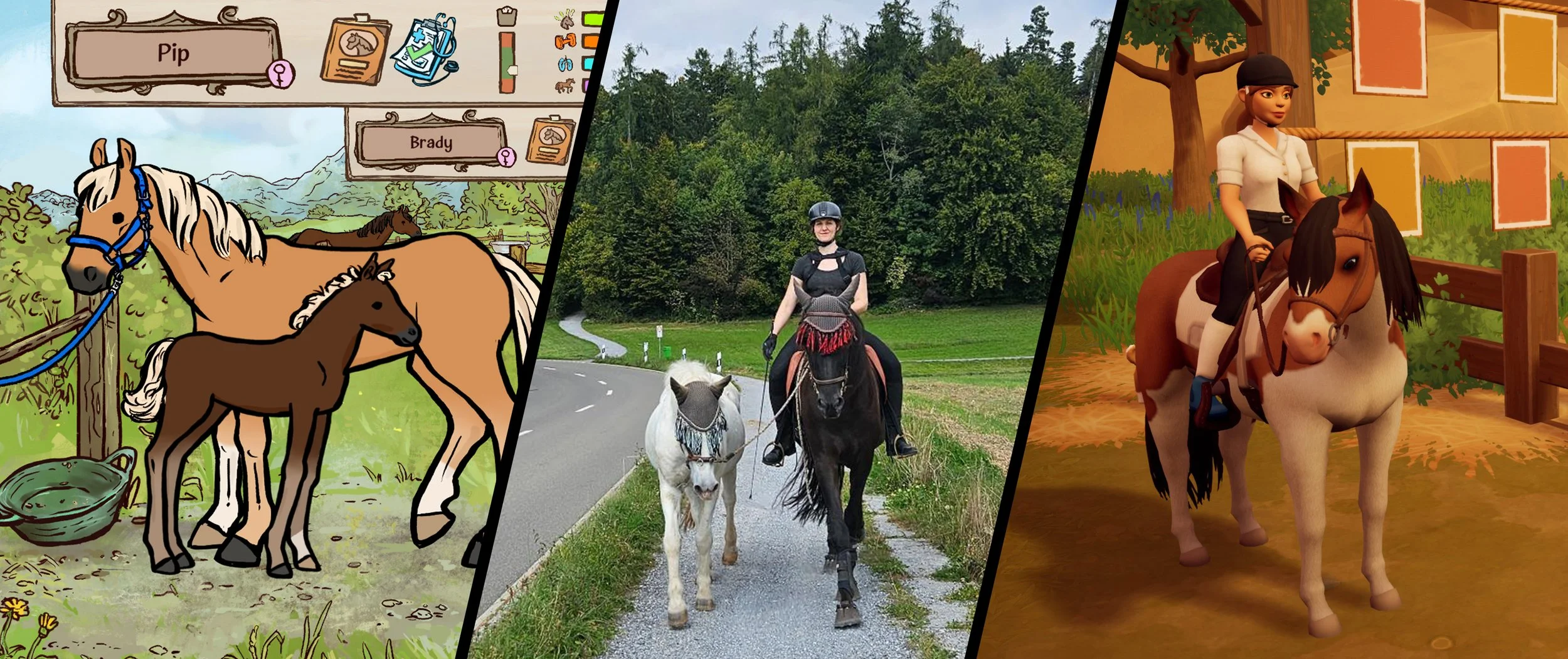 2025 in Review – Website Stats, Highlights and Musings