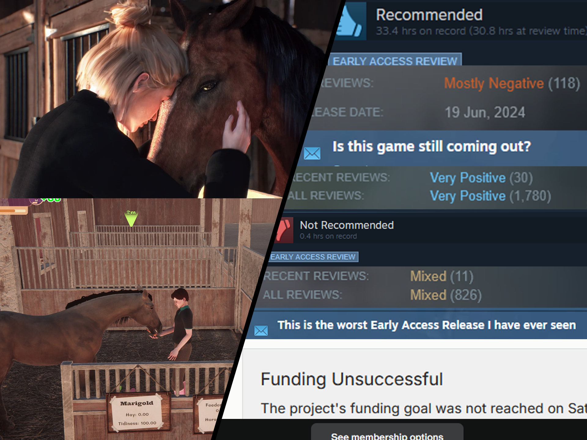 Scams, Asset Flips, and Naive Amateurs: The Horse Girl's Guide to Recognizing which Games are Worth Supporting