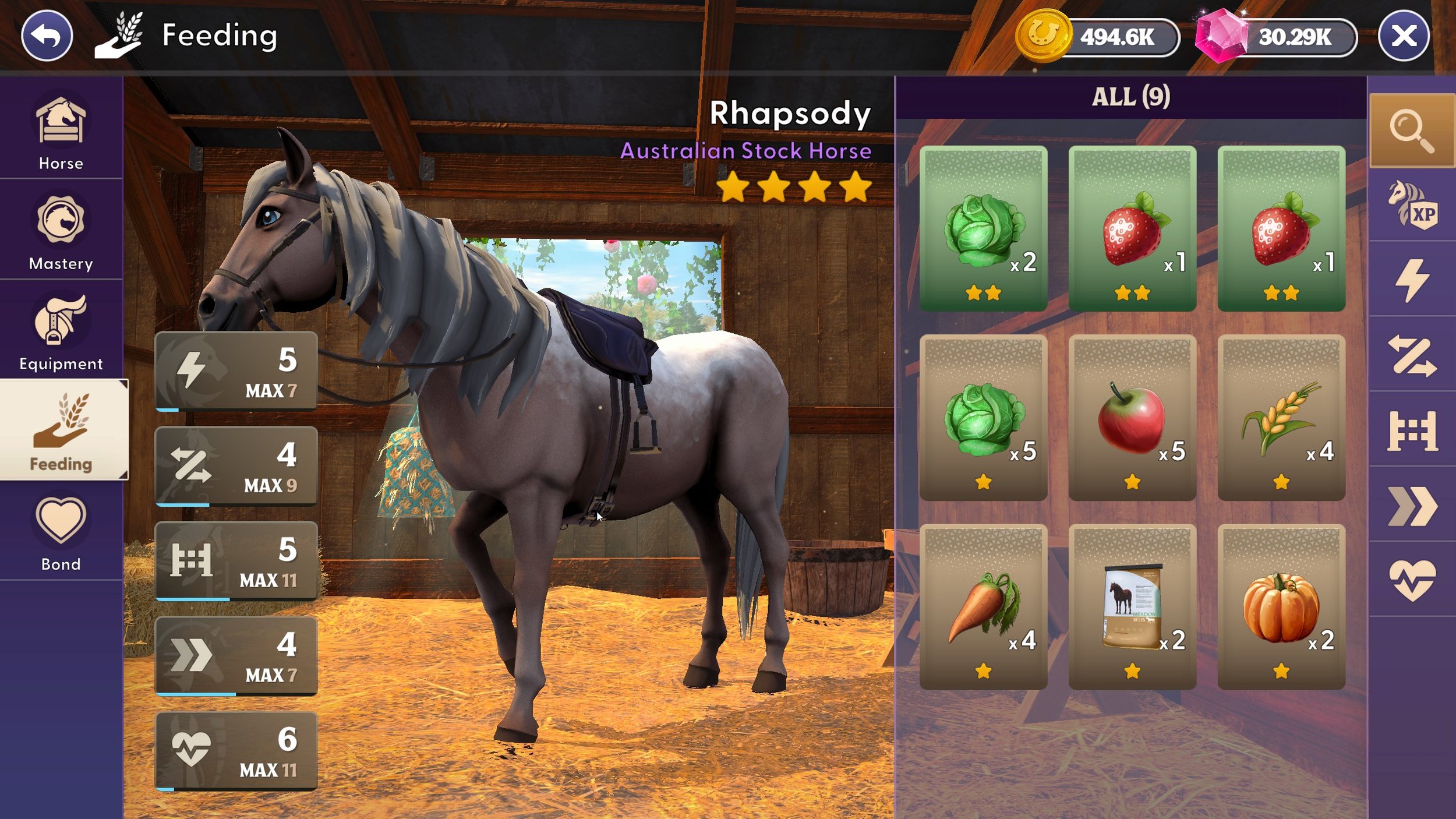 Star Equestrian - Horse Ranch para Android - Download