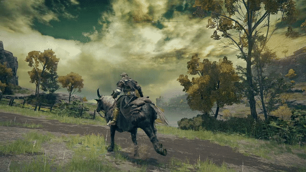 canter.gif?format=750w