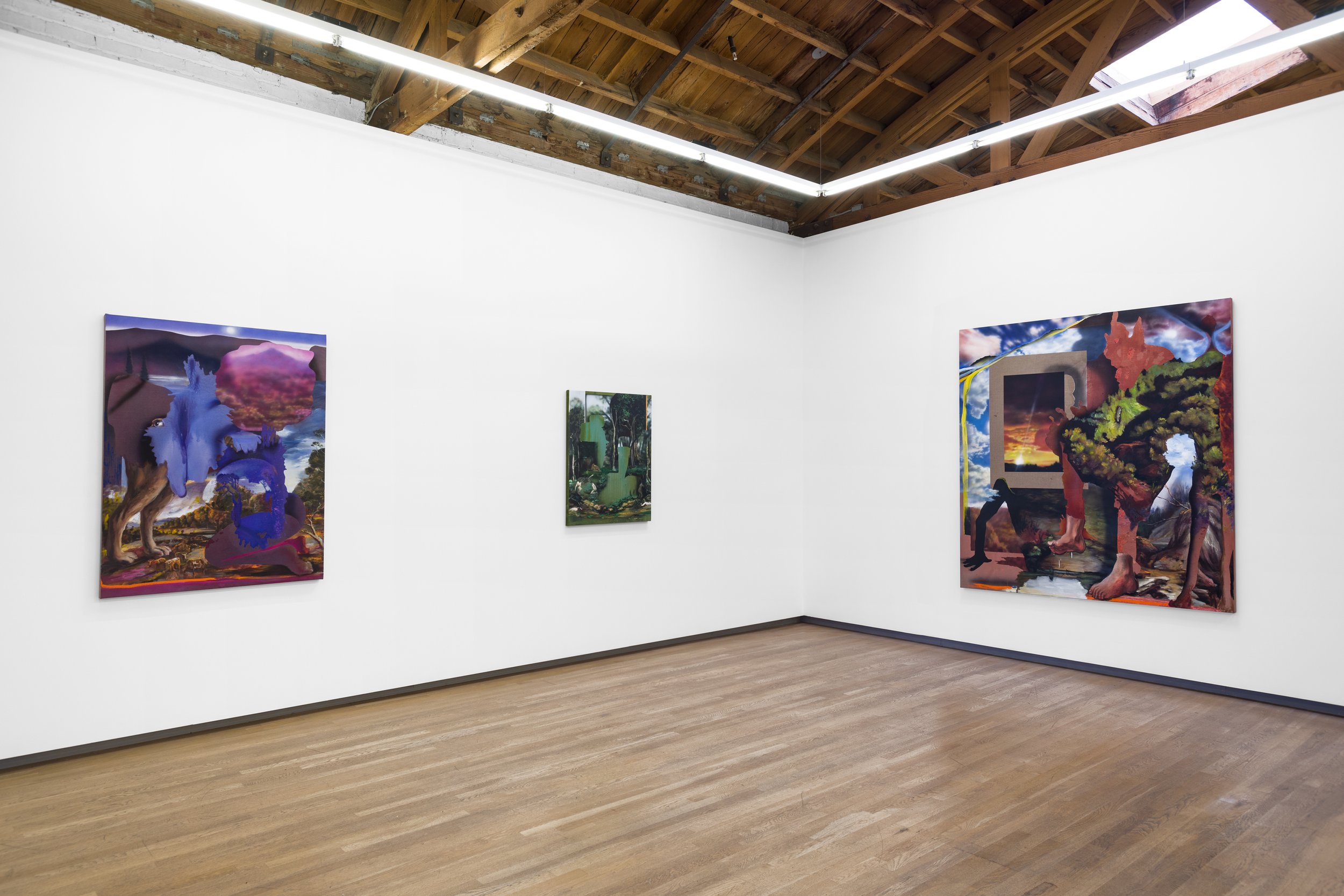 Contours of the Vast_Annie Lapin_Shulamit Nazarian_8.jpg