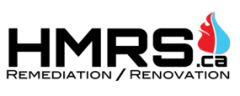 HMRS Logo.png