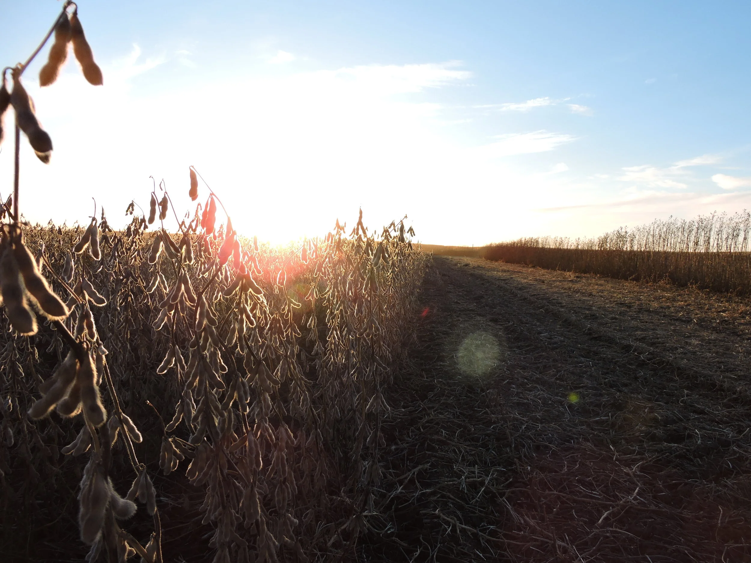 Saying Yes....or at least Maybe