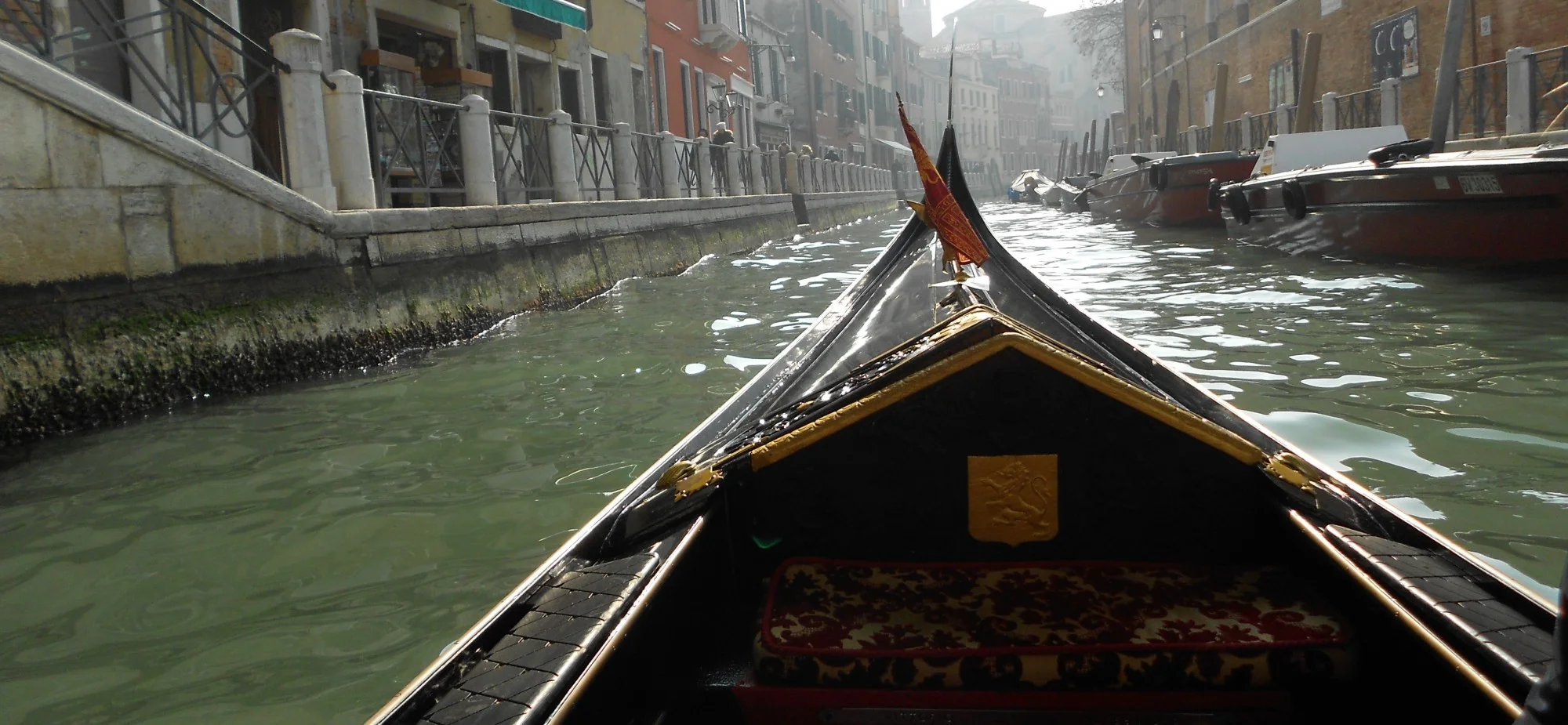 What's on the Inside