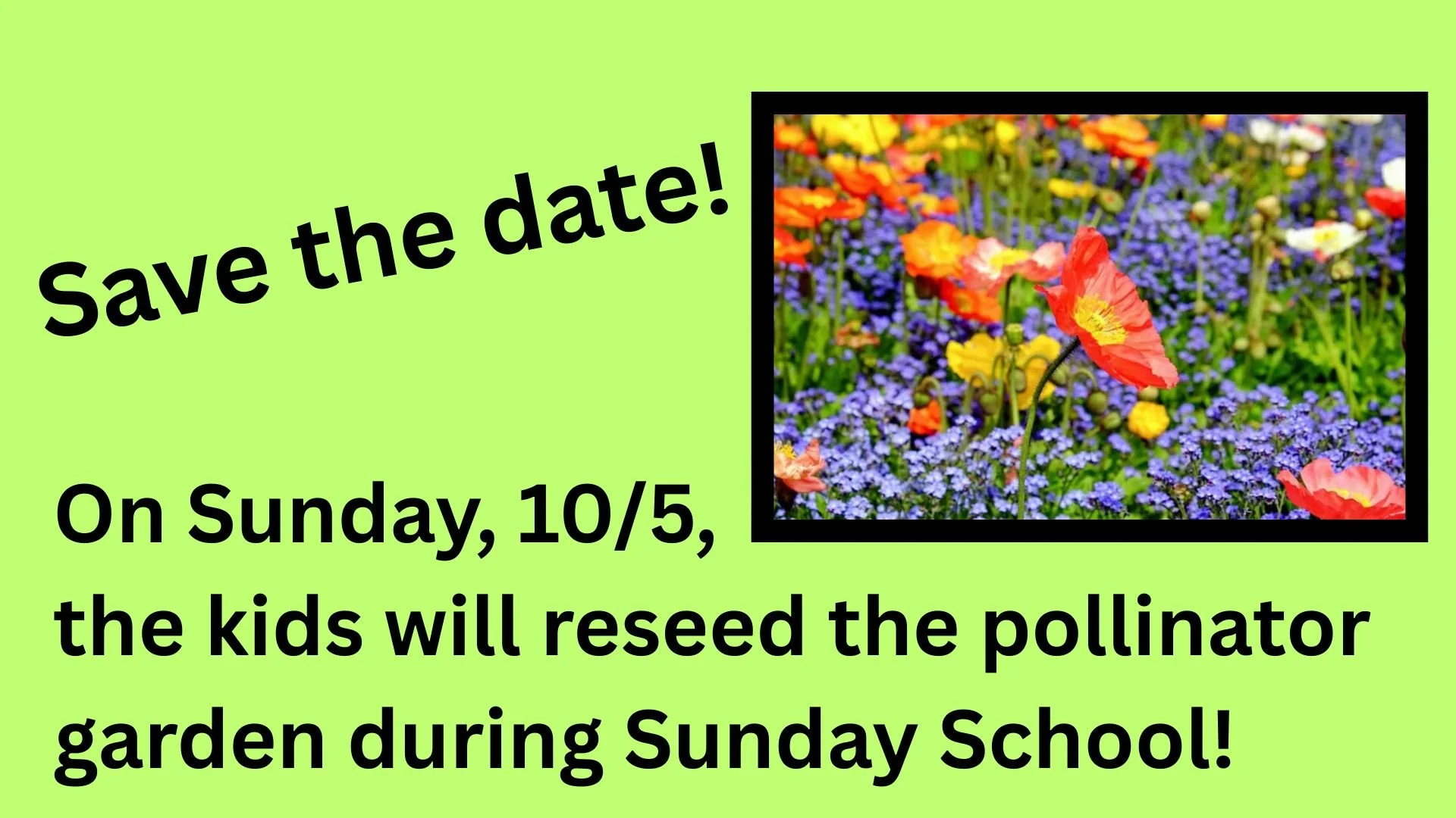 Pollinator garden reseeding project - Church grounds