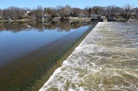Winter EcoWalk - Les Arends Forest Preserve