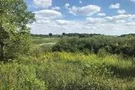Fall EcoWalk - McKee Marsh at Blackwell Forest Preserve