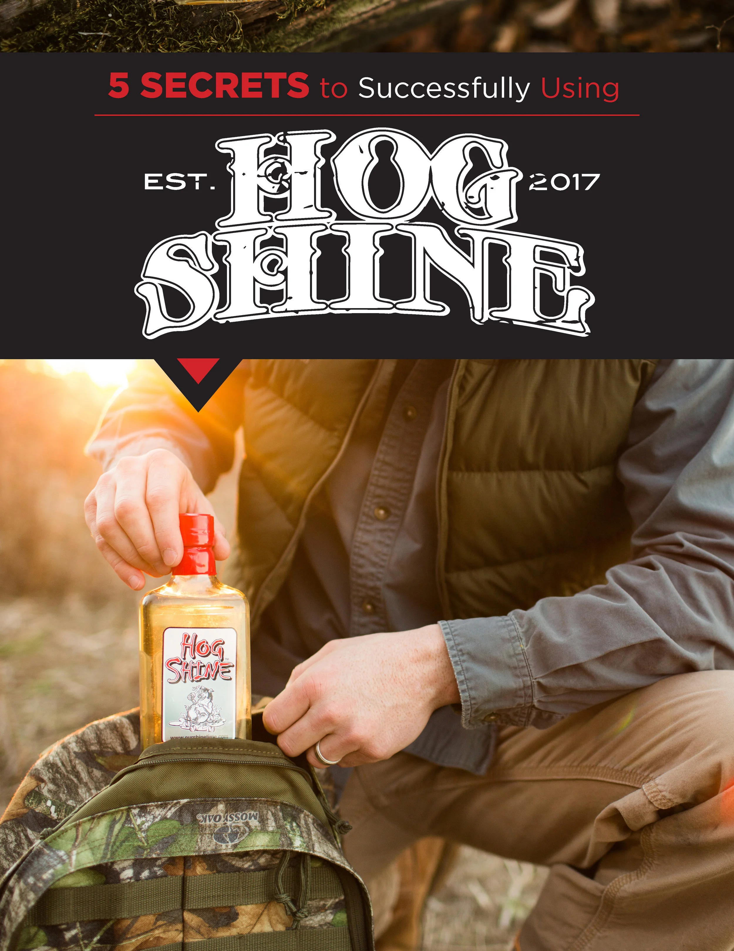 Hog Shine PDF - 2018_Page_1.jpg