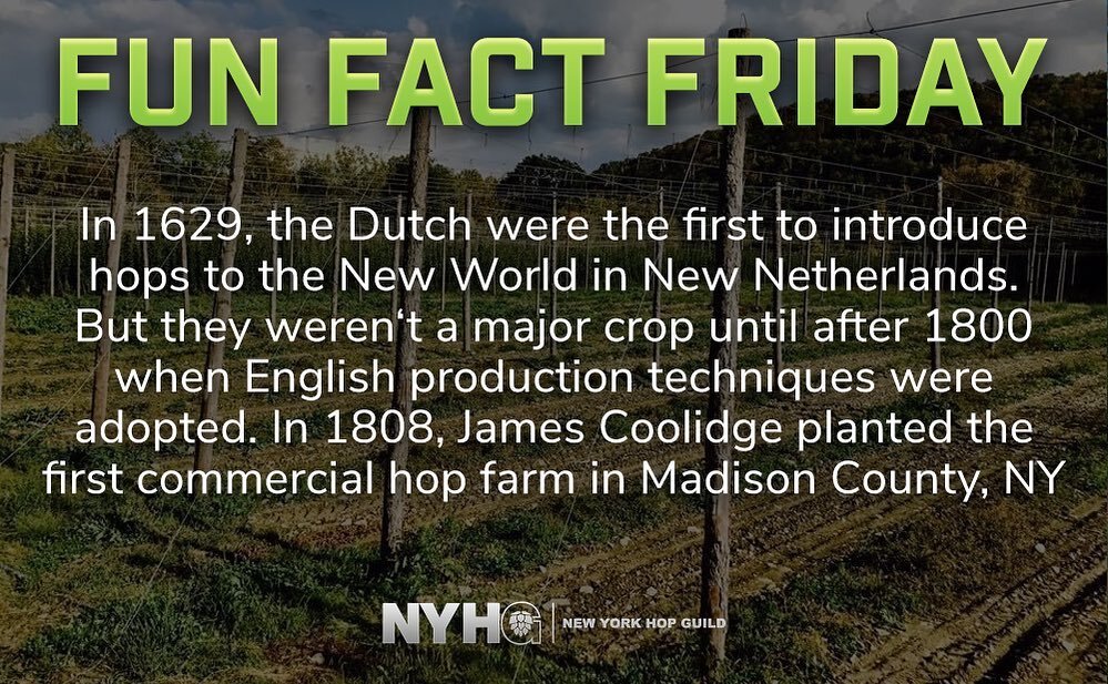 The Dutch showed us the hops. The English showed us the way. James Coolidge started the American Hops Takeover, right here in Madison County, NY over 200 years ago.
.
.
.
.
#nyhg #nyhops #funfactfriday #hophistory #nyhopresurgence #nyhoprevival #nyho