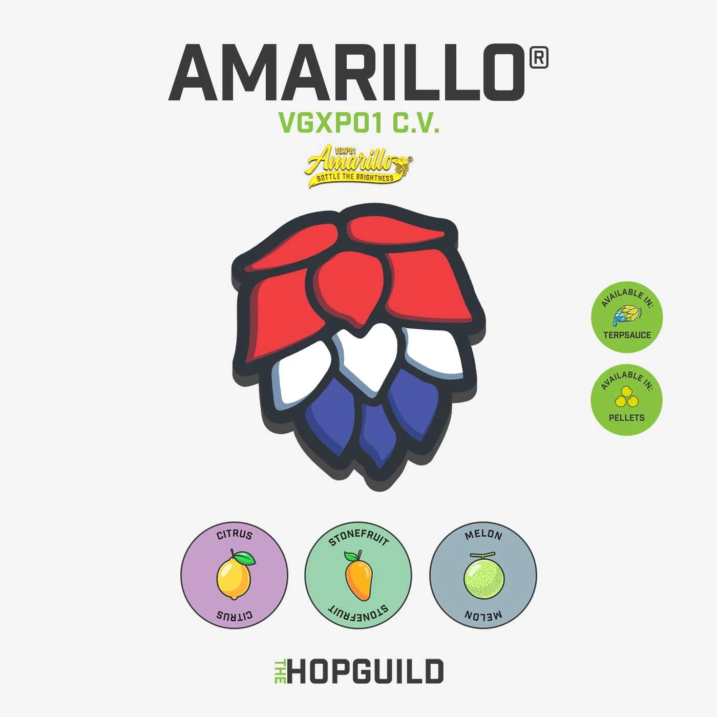TheHopGuild_AnarilloCV_Tile.jpg