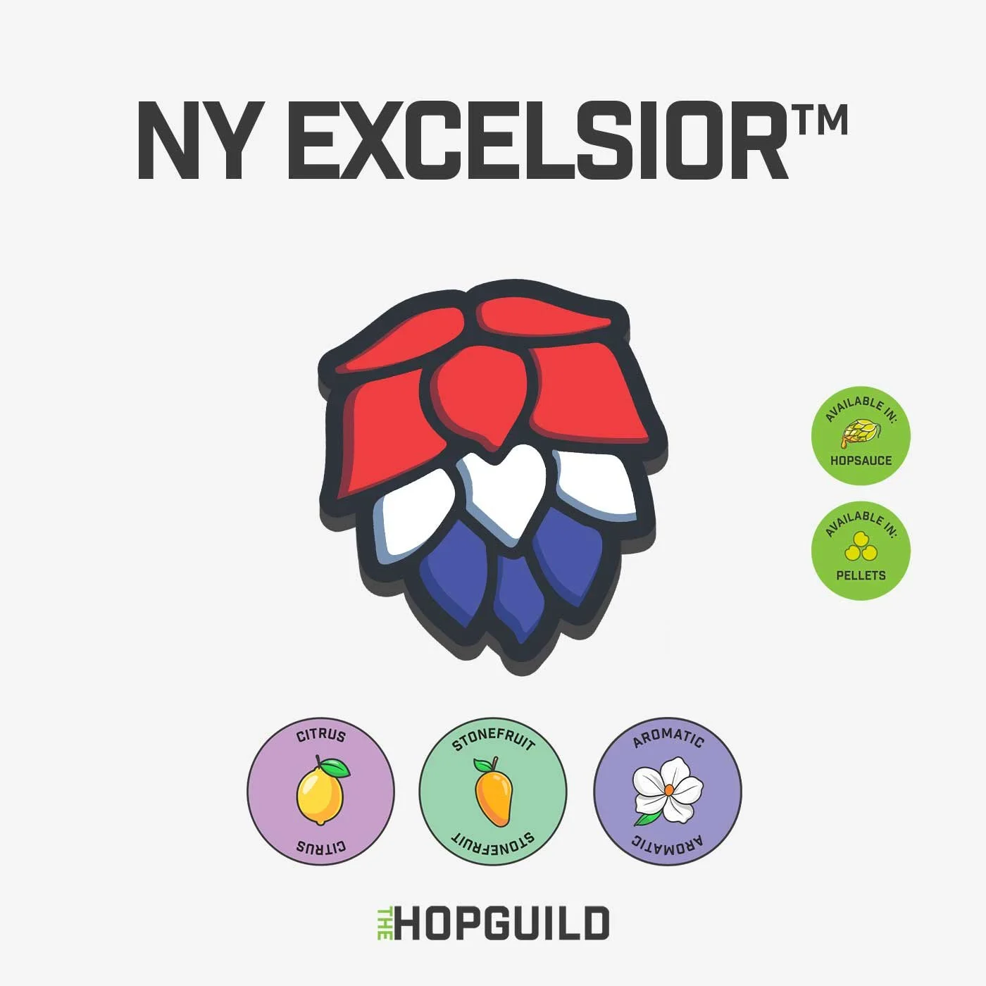 TheHopGuild_NYExcelsior_Tile.jpg