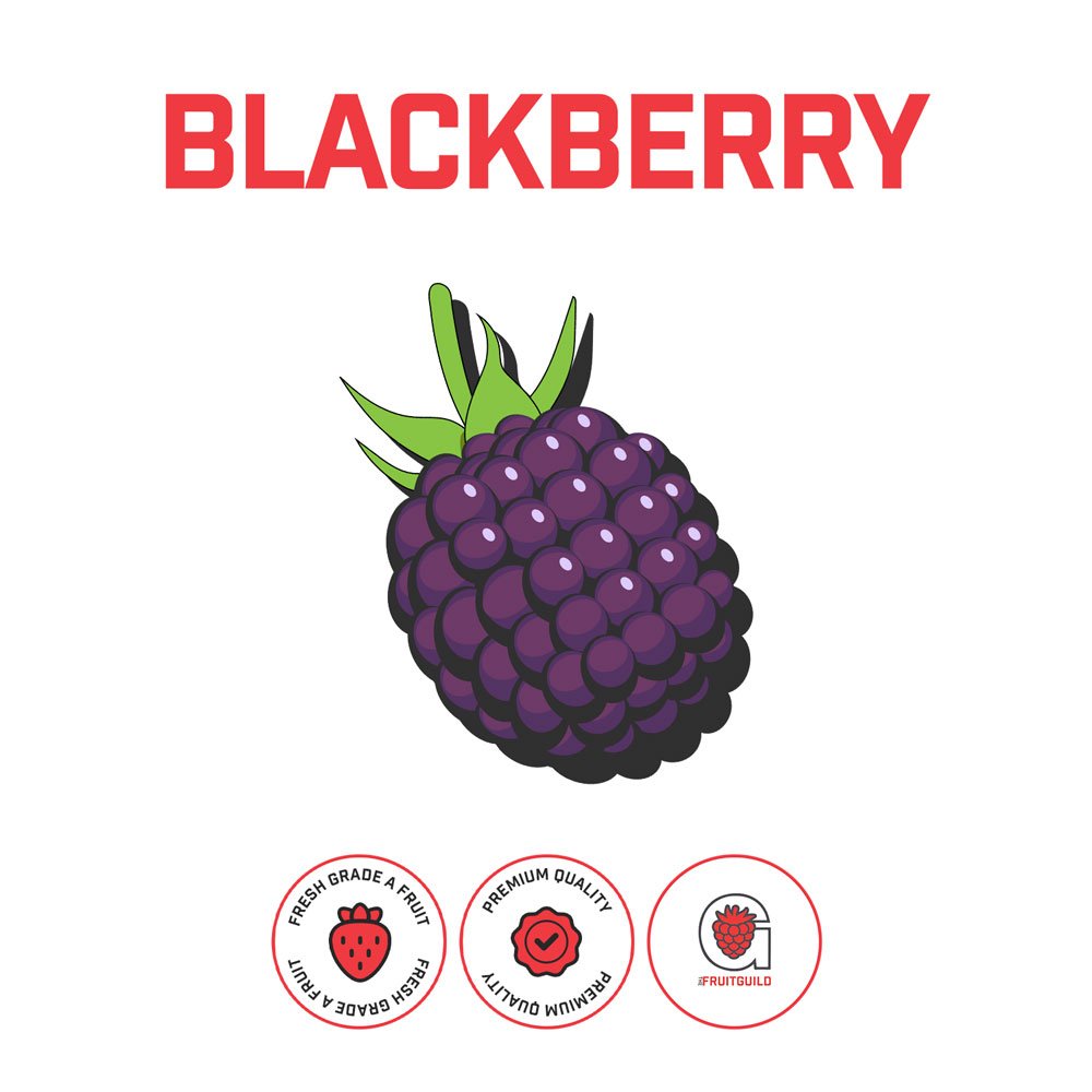 TheHopGuild_BlackberryPuree_Web.jpg